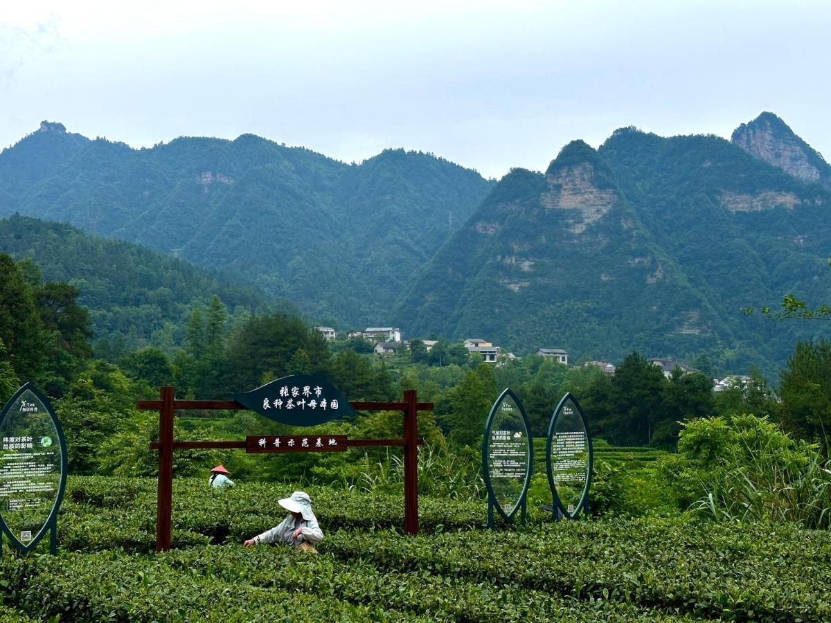 Zhangjiajie National Park Nvue Resorts ภายนอก รูปภาพ